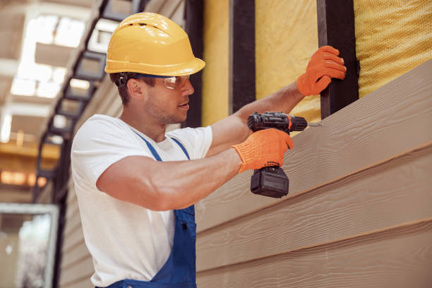 Best Storm Damage Siding Repair  in Ripley, TN