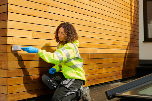 Best Brick Veneer Siding  in Ripley, TN